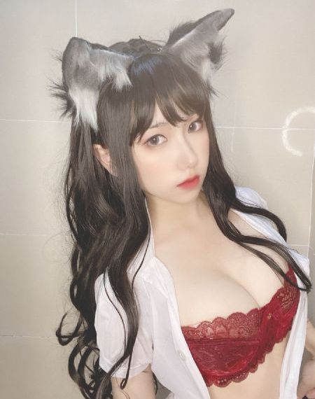 忠犬帕尔玛电影