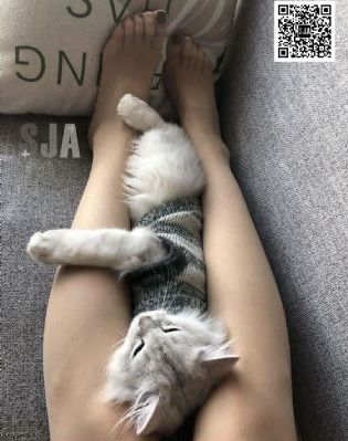 教师情事