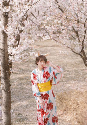 宁安如梦电视剧