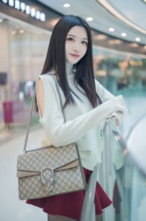 龙珠 动漫