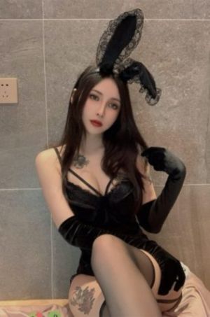 灵域电视剧在线观看完整版免费