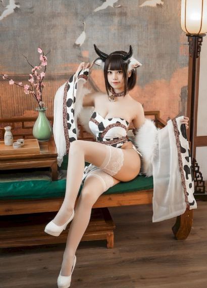 拉布拉多警长100集