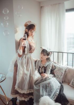 细狗网页版免费登录入口